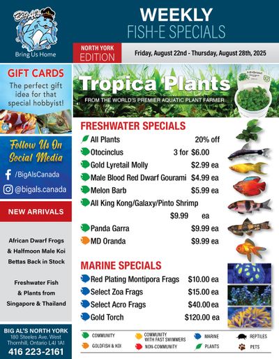Big Al's (North York) Weekly Specials August 22 to 28