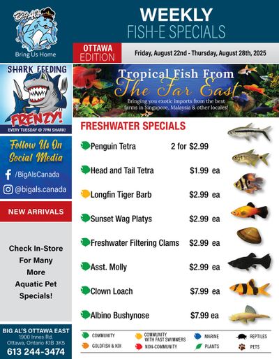 Big Al's (Ottawa) Weekly Specials August 22 to 28