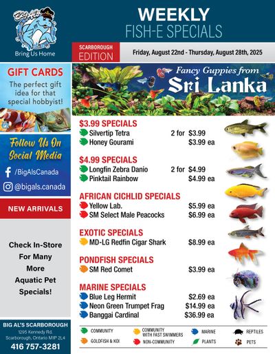 Big Al's (Scarborough) Weekly Specials August 22 to 28
