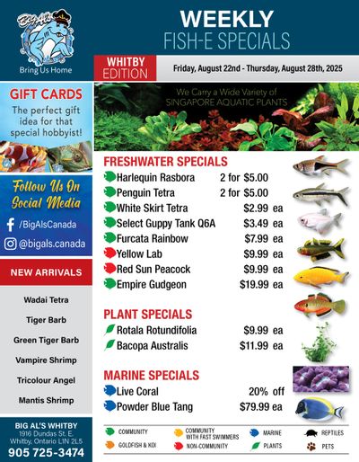 Big Al's (Whitby) Weekly Specials August 22 to 28