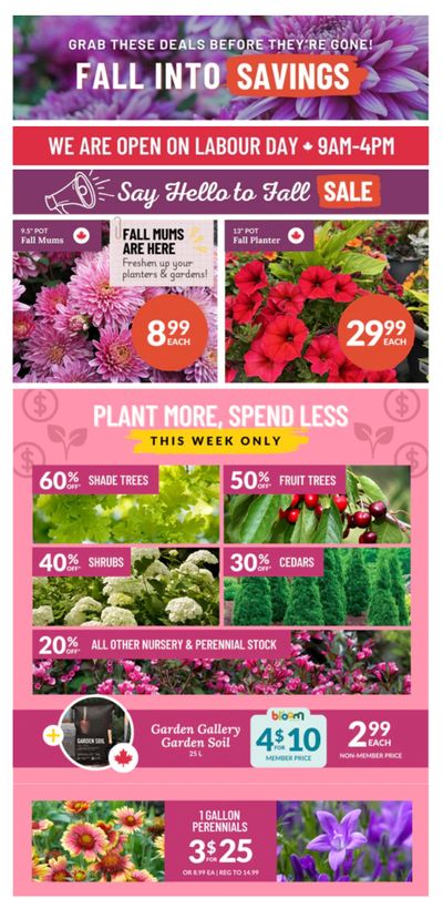 Lakeside Garden Gallery Flyer August 29 to September 4