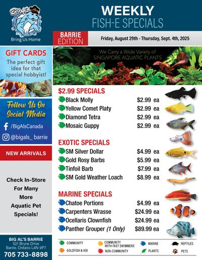Big Al's (Barrie) Weekly Specials August 29 to September 4