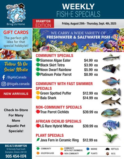 Big Al's (Brampton) Weekly Specials August 29 to September 4