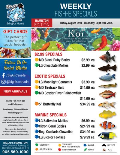 Big Al's (Hamilton) Weekly Specials August 29 to September 4