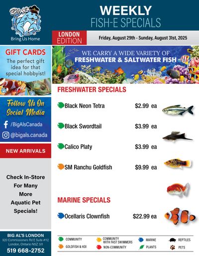 Big Al's (London) Weekend Specials August 29 to 31