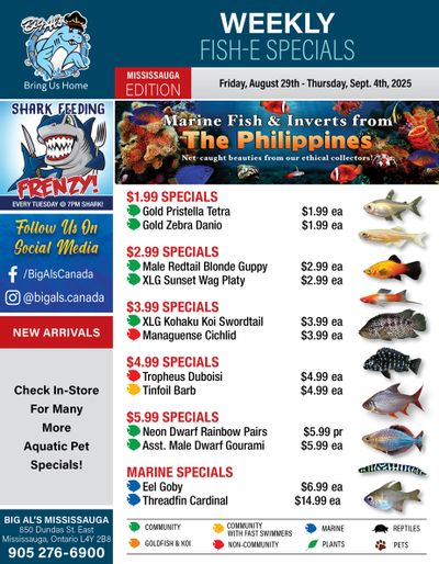 Big Al's (Mississauga) Weekly Specials August 29 to September 4