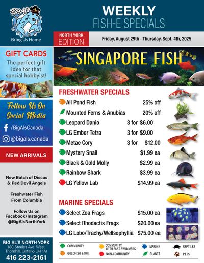 Big Al's (North York) Weekly Specials August 29 to September 4