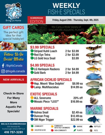 Big Al's (Scarborough) Weekly Specials August 29 to September 4