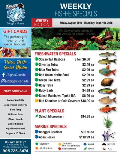 Big Al's (Whitby) Weekly Specials August 29 to September 4