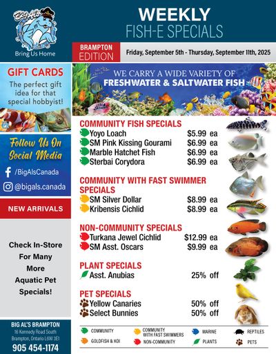 Big Al's (Brampton) Weekly Specials September 5 to 11