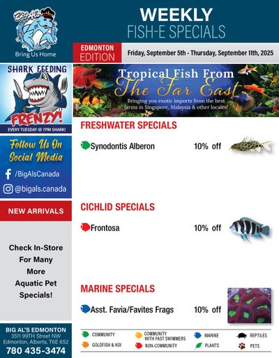 Big Al's (Edmonton) Weekly Specials September 5 to 11