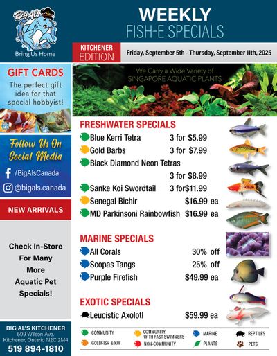Big Al's (Kitchener) Weekly Specials September 5 to 11