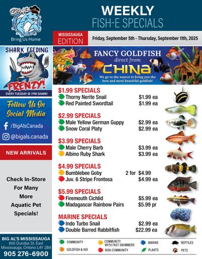 Big Al's (Mississauga) Weekly Specials September 5 to 11