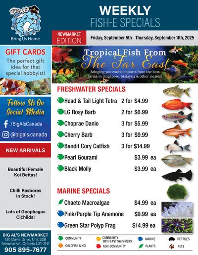Big Al's (Newmarket) Weekly Specials September 5 to 11