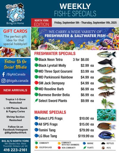 Big Al's (North York) Weekly Specials September 5 to 11