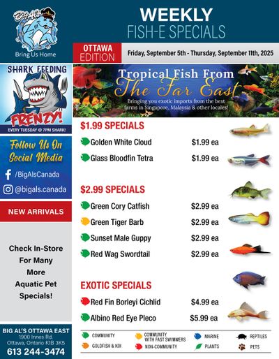 Big Al's (Ottawa) Weekly Specials September 5 to 11