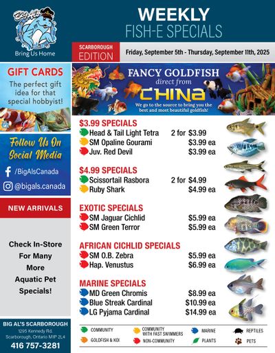 Big Al's (Scarborough) Weekly Specials September 5 to 11