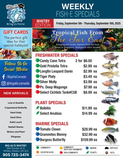 Big Al's (Whitby) Weekly Specials September 5 to 11