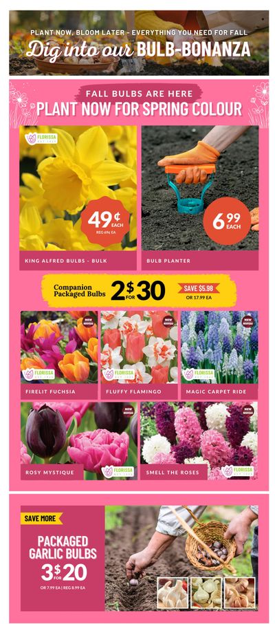Lakeside Garden Gallery Flyer September 12 to 18