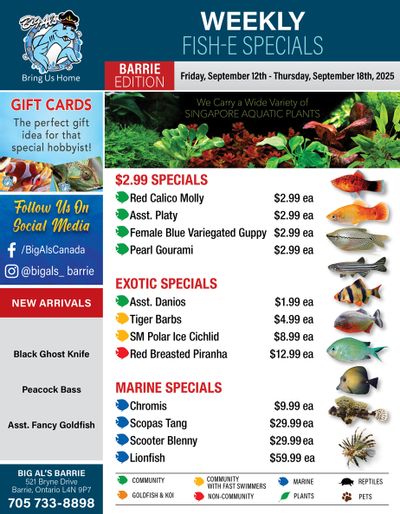 Big Al's (Barrie) Weekly Specials September 12 to 18