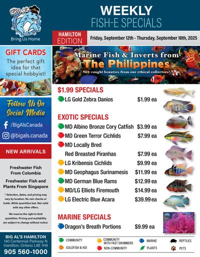 Big Al's (Hamilton) Weekly Specials September 12 to 18