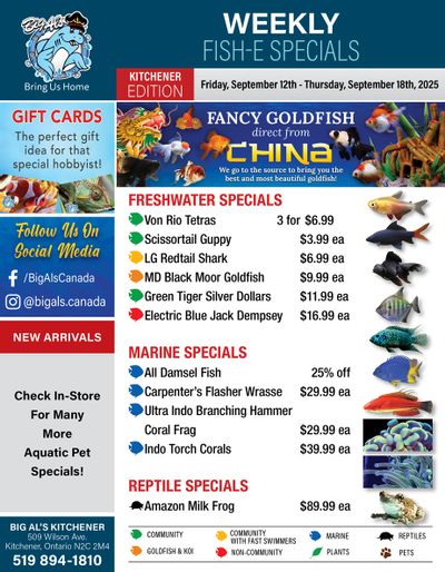 Big Al's (Kitchener) Weekly Specials September 12 to 18