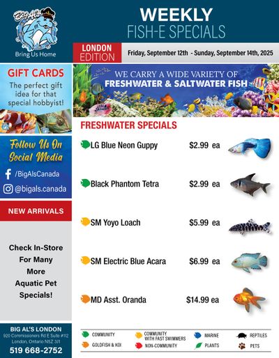 Big Al's (London) Weekend Specials September 12 to 14