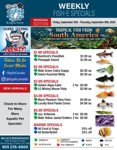 Big Al's (Mississauga) Weekly Specials September 12 to 18
