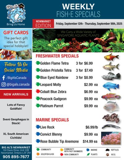 Big Al's (Newmarket) Weekly Specials September 12 to 18