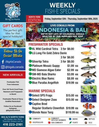 Big Al's (North York) Weekly Specials September 12 to 18