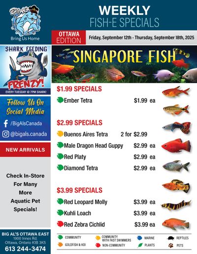 Big Al's (Ottawa) Weekly Specials September 12 to 18