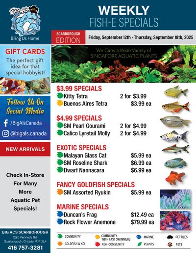 Big Al's (Scarborough) Weekly Specials September 12 to 18