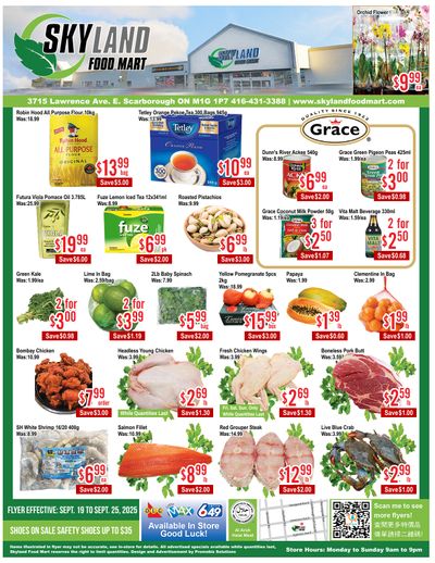 Skyland Food Mart Flyer September 19 to 25