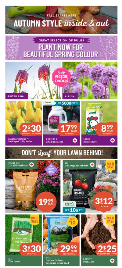 Lakeside Garden Gallery Flyer September 19 to 25