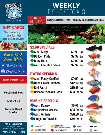 Big Al's (Barrie) Weekly Specials September 19 to 25