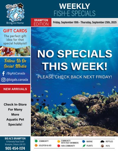 Big Al's (Brampton) Weekly Specials September 19 to 25