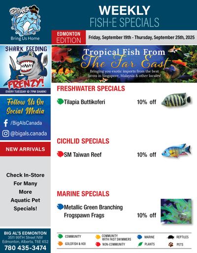 Big Al's (Edmonton) Weekly Specials September 19 to 25