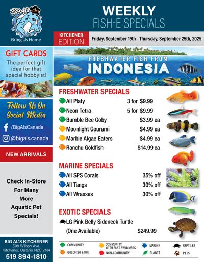 Big Al's (Kitchener) Weekly Specials September 19 to 25