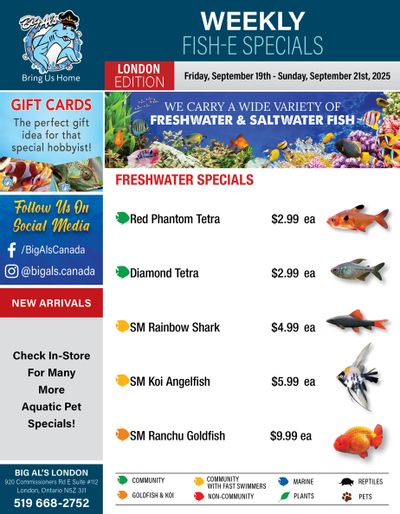 Big Al's (London) Weekend Specials September 19 to 21