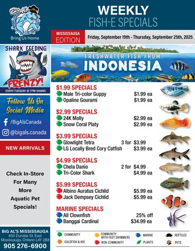 Big Al's (Mississauga) Weekly Specials September 19 to 25