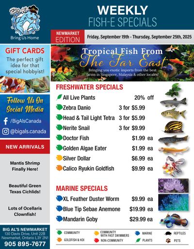 Big Al's (Newmarket) Weekly Specials September 19 to 25