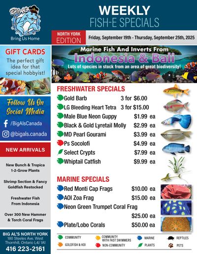 Big Al's (North York) Weekly Specials September 19 to 25