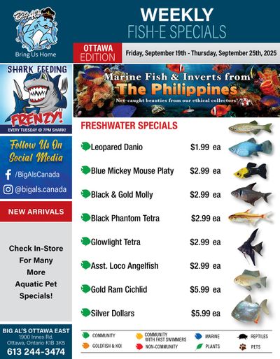 Big Al's (Ottawa) Weekly Specials September 19 to 25