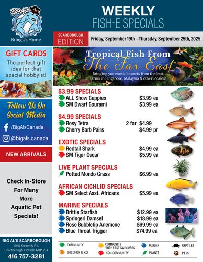 Big Al's (Scarborough) Weekly Specials September 19 to 25