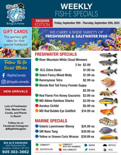Big Al's (Vaughan) Weekly Specials September 19 to 25