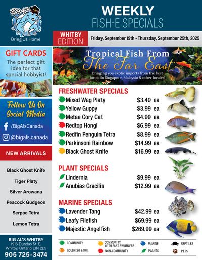 Big Al's (Whitby) Weekly Specials September 19 to 25