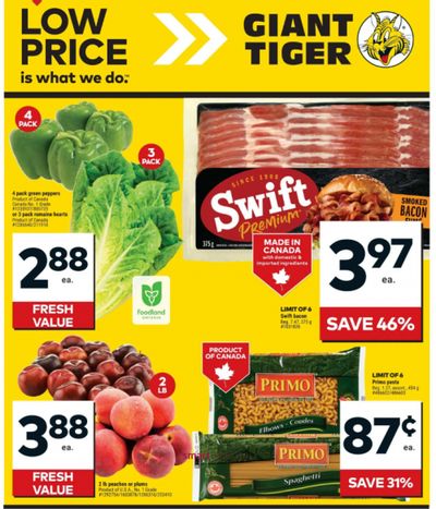 Giant Tiger Canada Flyer Deals September 24th – 30th