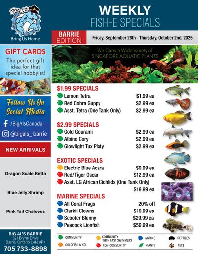 Big Al's (Barrie) Weekly Specials September 26 to October 2