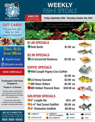Big Al's (Hamilton) Weekly Specials September 26 to October 2