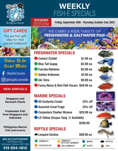 Big Al's (Kitchener) Weekly Specials September 26 to October 2